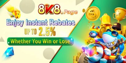 8K8 Key Information: Development and Future Operational Mission