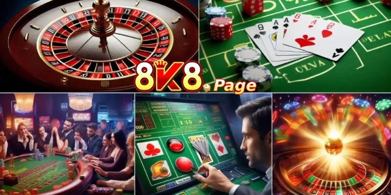 8K8 Key Information: Development and Future Operational Mission 6 8K8's Core Values