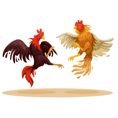 8K8 - The Top Trusted Online Casino in Philippines 2024 6 Cockfighting 8K8