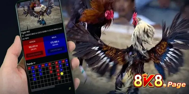Exploring the Exciting World of DS88 Sabong 4 Crystal-Clear Live Streaming with Multiple Camera Angles