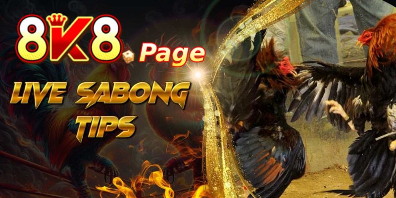 Exploring the Exciting World of DS88 Sabong 1 DS88 Sabong: The Pinnacle of Online Betting Experiences