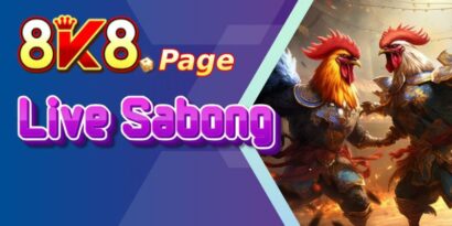 Exploring the Exciting World of DS88 Sabong