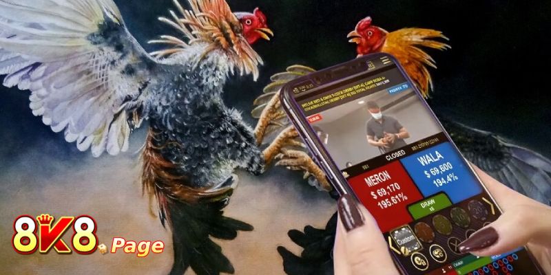 Exploring the Exciting World of DS88 Sabong 3 Unmatched Benefits of DS88 Sabong Betting